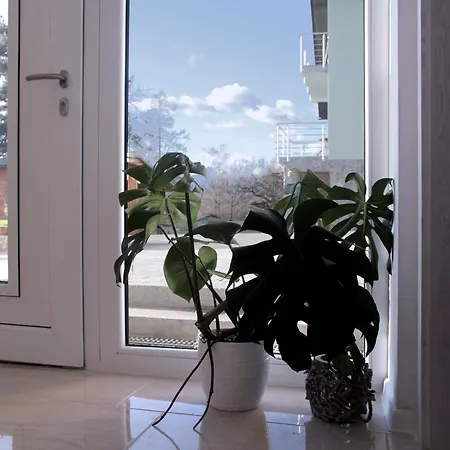 アパート Deluxe Panorama