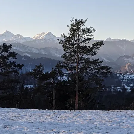 Deluxe Panorama Lesce (Upper Carniola)