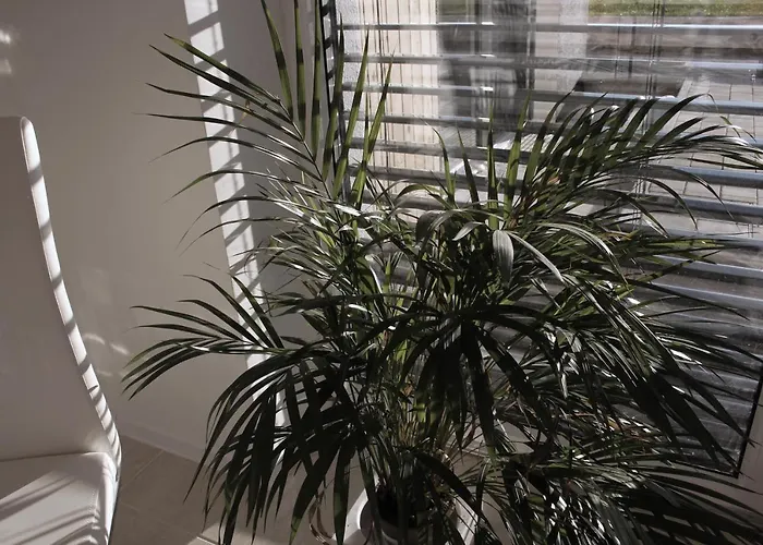 アパート Deluxe Panorama *