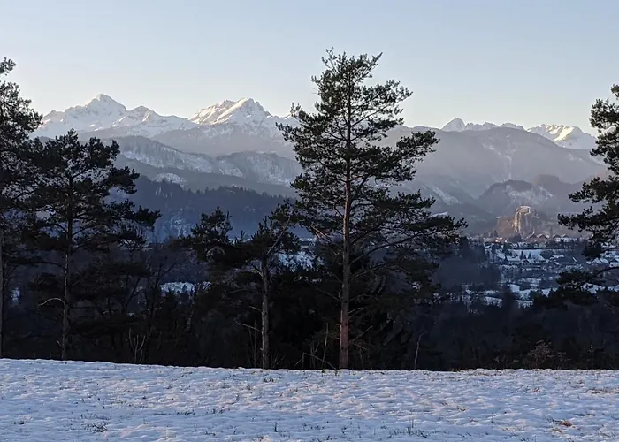 Deluxe Panorama Lesce (Upper Carniola)